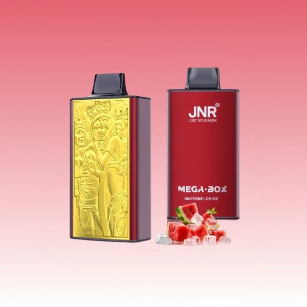JNR Mega Box 25000 Puffs | Cheap Wholesale Price