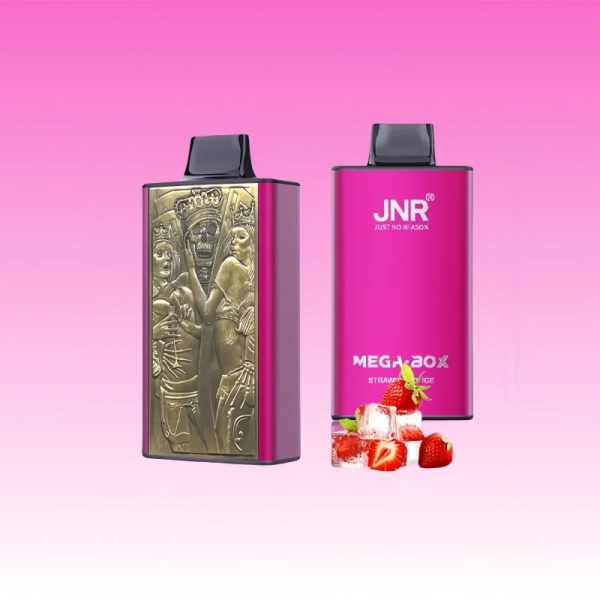 jnr vape 25000 puffs JNR Mega Box 25000 Puffs | Cheap Wholesale Price